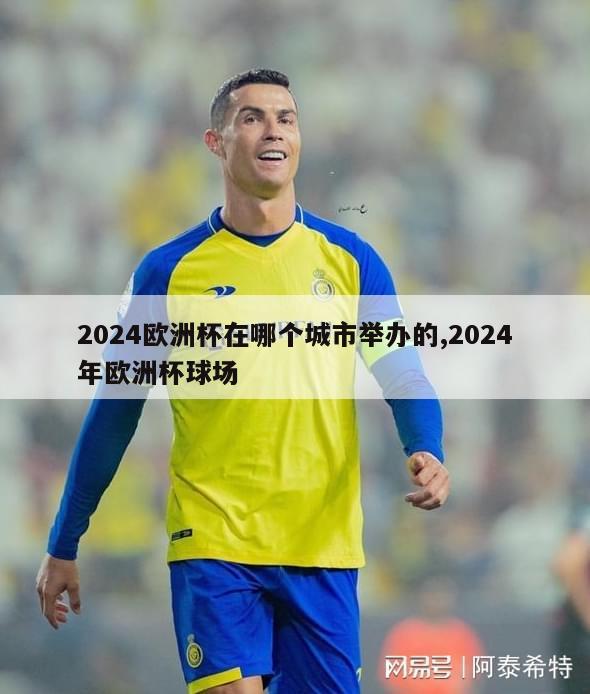 2024欧洲杯在哪个城市举办的,2024年欧洲杯球场