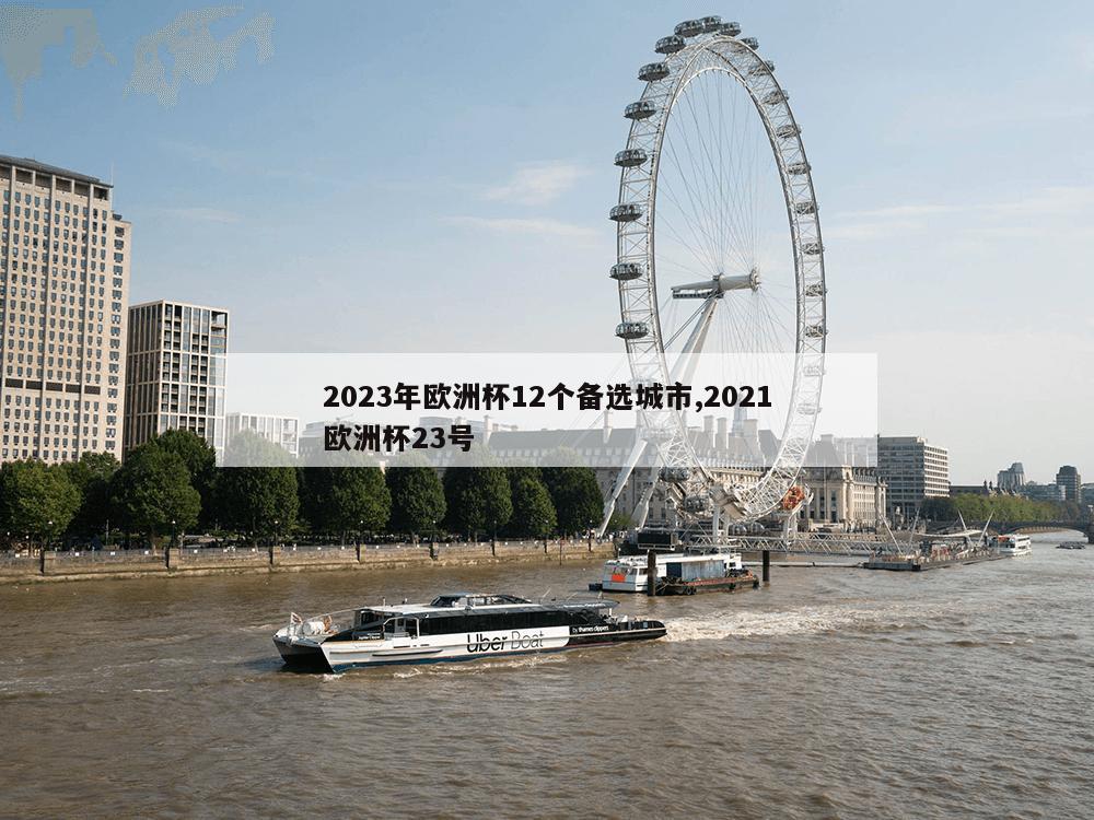 2023年欧洲杯12个备选城市,2021欧洲杯23号