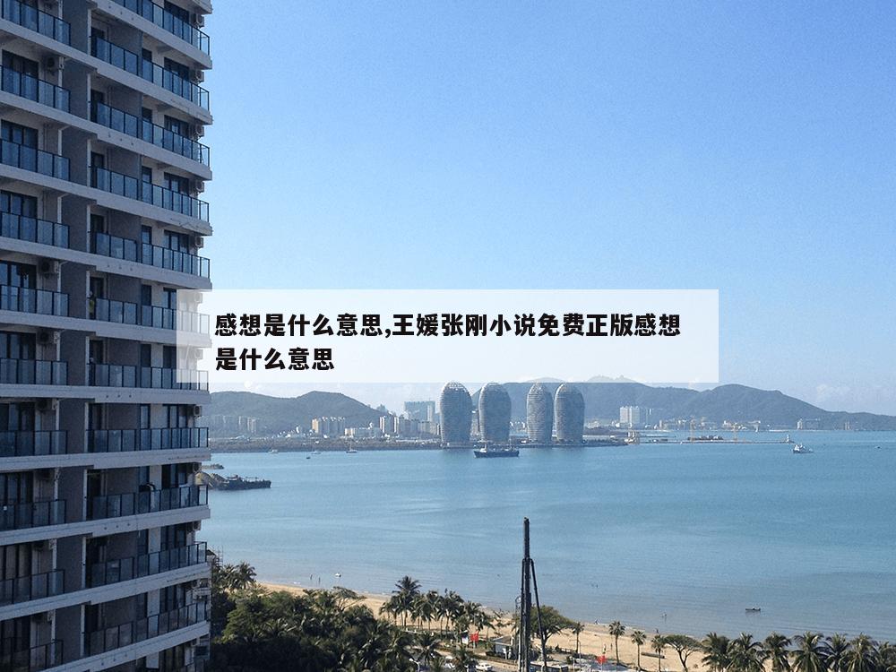 感想是什么意思,王媛张刚小说免费正版感想是什么意思