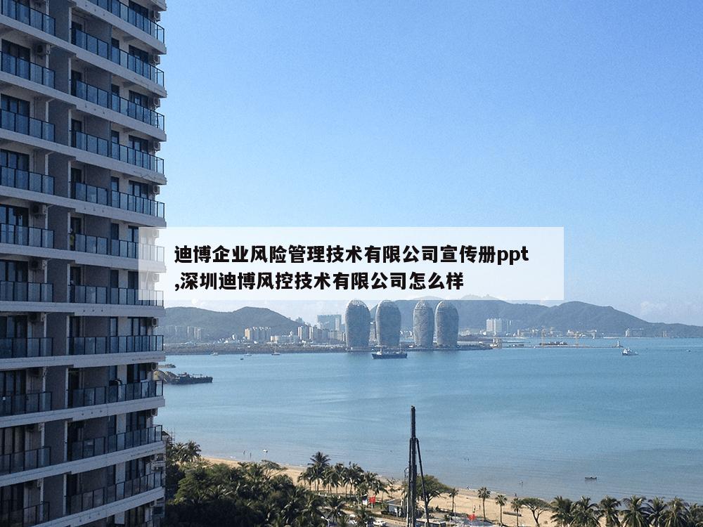 迪博企业风险管理技术有限公司宣传册ppt,深圳迪博风控技术有限公司怎么样