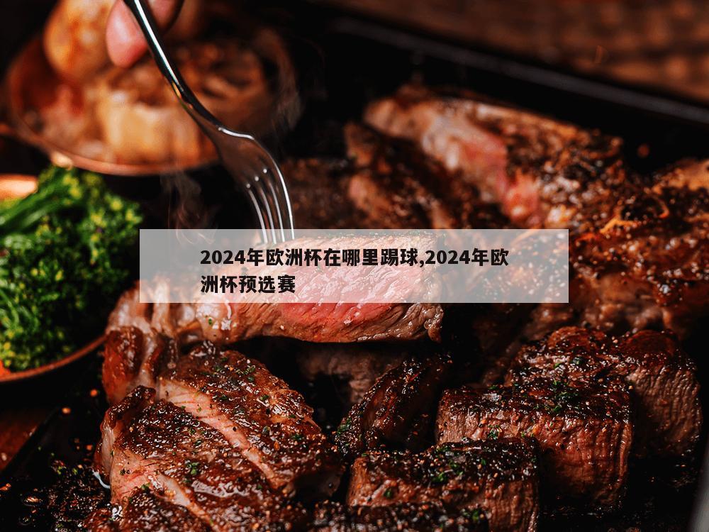 2024年欧洲杯在哪里踢球,2024年欧洲杯预选赛