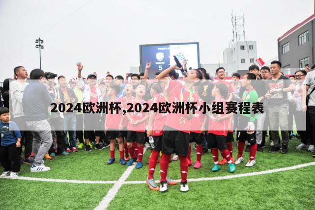 2024欧洲杯,2024欧洲杯小组赛程表