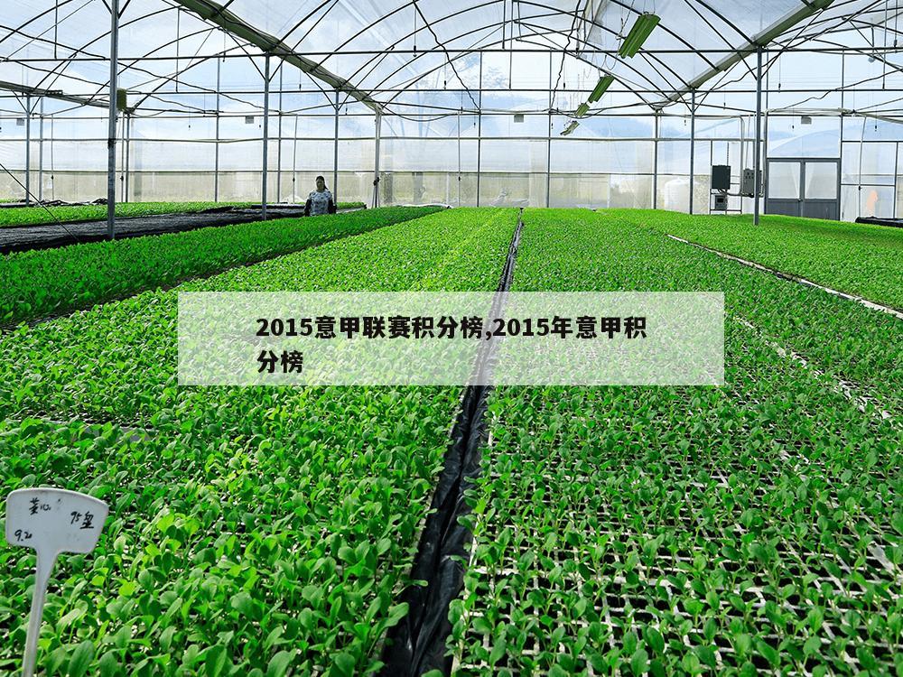 2015意甲联赛积分榜,2015年意甲积分榜